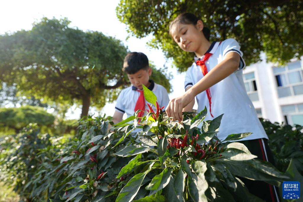 捕鱼游戏赚钱换人民币的有哪些
